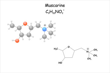 Stylized molecule model/structural formula of muscarine. Toxin of the fly agaric (Amanita muscaria).

