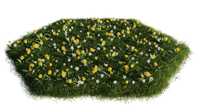 grass patch, lawn with clover and dandelions, isolated on transparent background