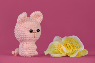 Soft DIY toy made of natural cotton and wool. Crocheted cat, handmade art. Amigurumi one little cute kitten sitting on pink background next to yellow orchid flower.