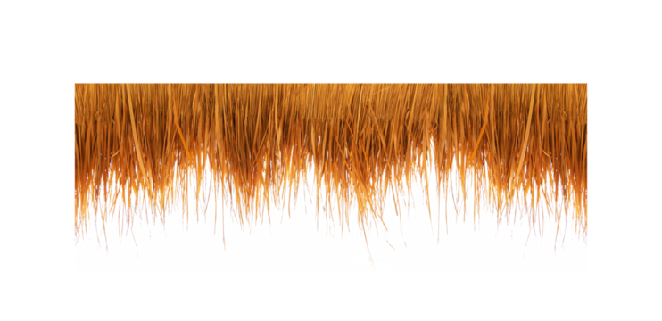 Thatching straw roof, from dry grass isolated on white transparent background, of the bar on the beach during the holiday season. Png file