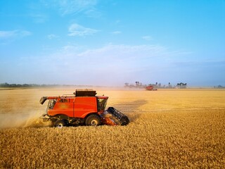 Obraz premium Aerial drone photo of red harvester working in wheat field on sunset. Combine harvesting machine driver cutting crop in farmland. Organic farming. Agriculture theme, harvesting season.