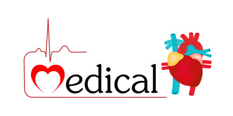 Heart medical icon logo isolated on white background. medical headline. real human heart. EKG. heartbeat. anatomy.Vector.Illuatration.