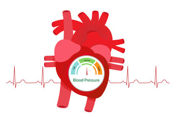 Human cardiac anatomy with speedometer show normal blood pressure and heart beat isolated on white background.Design for logo.Concept for medical health care.High blood pressure.Vector.