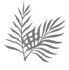 Leaf Shadow Decoration