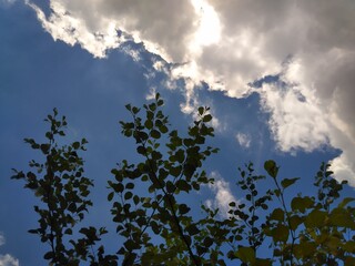 clouds in the sky