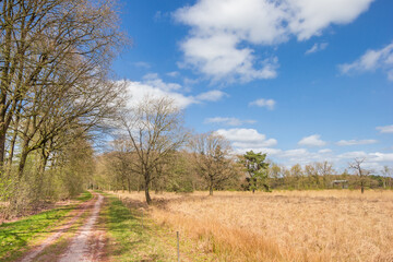 Fototapeta na wymiar Walking path in nature reserve Duurswouderheide, Netherlands