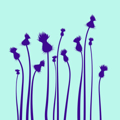 Thistle illustration. Leisure, rural holiday vacation elements. Natural, healthy lifestyle, ecology and botany summer plant symbol. Organic style.