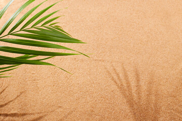 Fototapeta na wymiar Sandy beach, palm leaf. Natural sandy background. Top view.