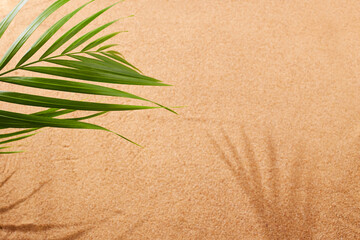 Sandy beach, palm leaf. Natural sandy background. Top view.