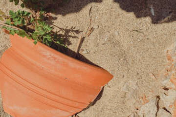 Shards of old broken dishes or a pot on the sand, history or discarded garbage, ecology of life.
