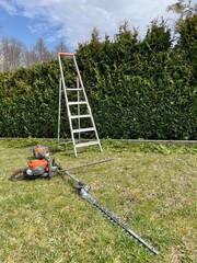 Hedge trimming