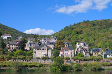 Fototapeta na wymiar riverscape of villas in Heidelberg private residence area 