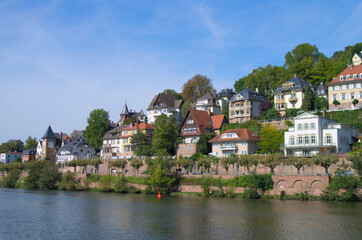 Fototapeta na wymiar riverscape of villas in Heidelberg private residence area 