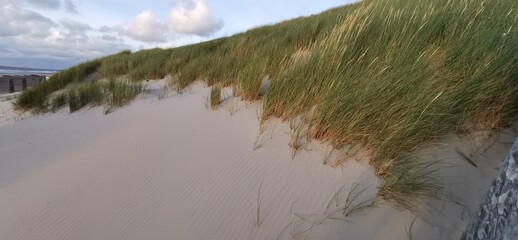 Sylt