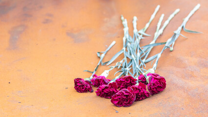 Red carnation flowers or peonies at the site of a fatal car accident. Tragedy and grief over the...