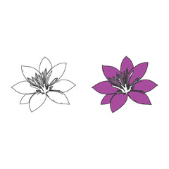 Lily flowers coloring books Make Line art, hand-drawn illustrations.Perfect for creating coloring pages, coloring books, enchanting holiday invitations, and other creative projects.