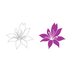 Lily flowers coloring books Make Line art, hand-drawn illustrations.Perfect for creating coloring pages, coloring books, enchanting holiday invitations, and other creative projects.