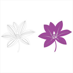 Lily flowers coloring books Make Line art, hand-drawn illustrations.Perfect for creating coloring pages, coloring books, enchanting holiday invitations, and other creative projects.