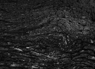 Obraz premium Czarne drewno kora tło