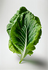 Green lettuce leaf isolated without shadow, AI Generated