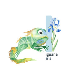 Letter I, iguana and iris, cute kids colorful animals and flower ABC alphabet. Watercolor illustration isolated on white background.