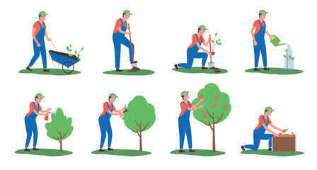 Fototapeta premium A set of illustrations of planting and caring for apple trees in stages. Vector, flat. A man carries seedlings in a wheelbarrow, digs a hole,planting a tree, watering, growing and harvesting isolated