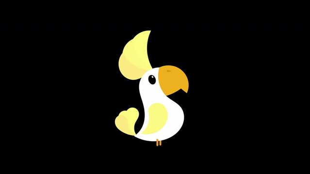 cartoon parrot bird animal icon loop Animation video transparent background with alpha channel.