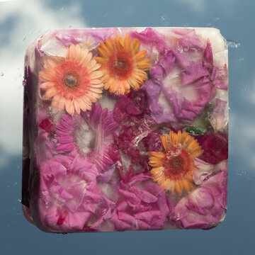 art photo of colorful frozen flowers in ice block on mirror against blue sky