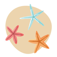 Seastars illustration set. Hand drawn vector marine animals illustrations. Cartoon style sea stars. Various starfish Summer beach elements.