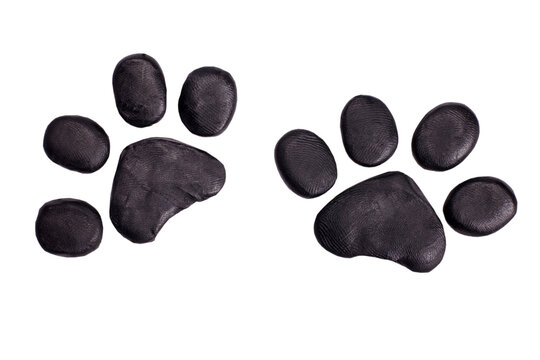 Cat paw prints or footprints plasticine icon isolated on white background