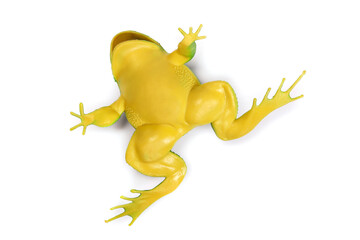 upside down toy frog isolated on white