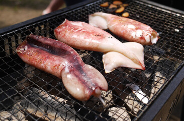 バーベキューで焼かれるイカ