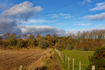 The straight rural footpath between the Angus Village of Friockheim and the settlement of...