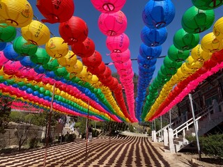 불교 연등, 한국, 사찰, 절 Buddhist Lotus Lantern, Korea, Temple, Section