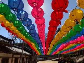 불교 연등, 한국, 사찰, 절 Buddhist Lotus Lantern, Korea, Temple, Section