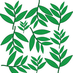Set of green leaves isolated on white background. Vector illustration for your design