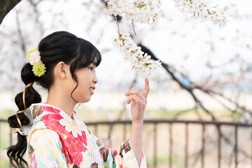 小学校の卒業式にはかま姿で桜を見ている女の子