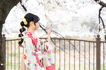小学校の卒業式にはかま姿で桜を見ている女の子	 - obrazy, fototapety, plakaty