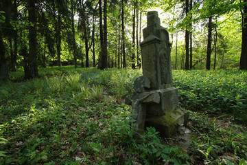 Old cemetery in Swierzowa Ruska - former and abandoned village in Low Beskids, Poland