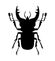 Beetle - deer, black silhouette, vector, isolated on white background, view from above. Great horned beetle.