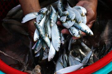 Daily life. Vietnam.