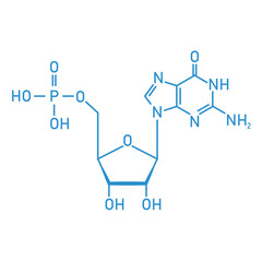 Chemical structure of DNA nucleotide. Three parts of a nucleotide. Phosphate group, pentose sugar and nitrogenous base. Nucleic acids. Vector illustration isolated on white background.