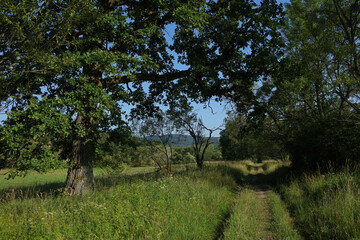 Landscape of former abandoned village Lupkow in Bieszczady Mountains, Poland