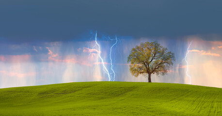 Bright lightning hit the tree with green grass field - Stormy sky with thunderbolt over rural landscape