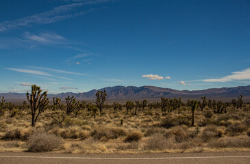 Wüste an den Kelso Dunes in der Mojave Wüste - obrazy, fototapety, plakaty