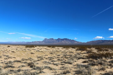 Wüste an den Kelso Dunes in der Mojave Wüste - obrazy, fototapety, plakaty
