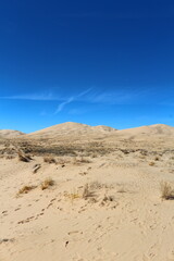 Fototapeta na wymiar Wüste an den Kelso Dunes in der Mojave Wüste