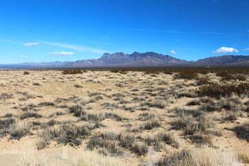 Wüste an den Kelso Dunes in der Mojave Wüste