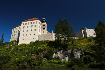 Fototapeta na wymiar Pieskowa Skala Castle in Ojcow National Park, Poland