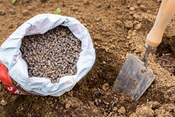 Eco friendly gardening background. Preparing soil for planting, fertilizing with compressed chicken...